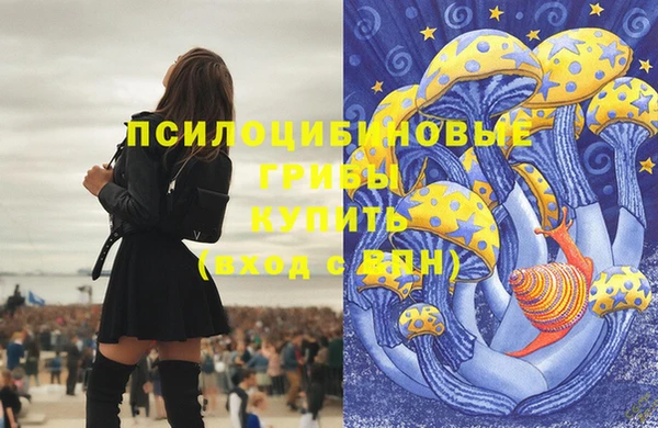 ГАЛЛЮЦИНОГЕННЫЕ ГРИБЫ Алзамай