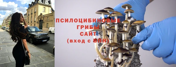 ГАЛЛЮЦИНОГЕННЫЕ ГРИБЫ Алзамай