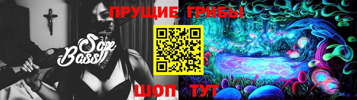 Петровск  Галлюциногенные грибы Psilocybine cubensis  Вход с VPN 